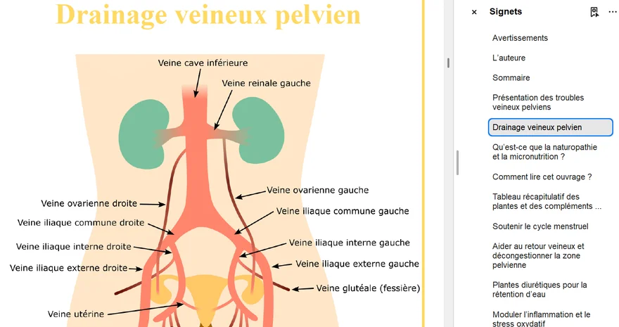 Aperçu de l'ebook tome 2